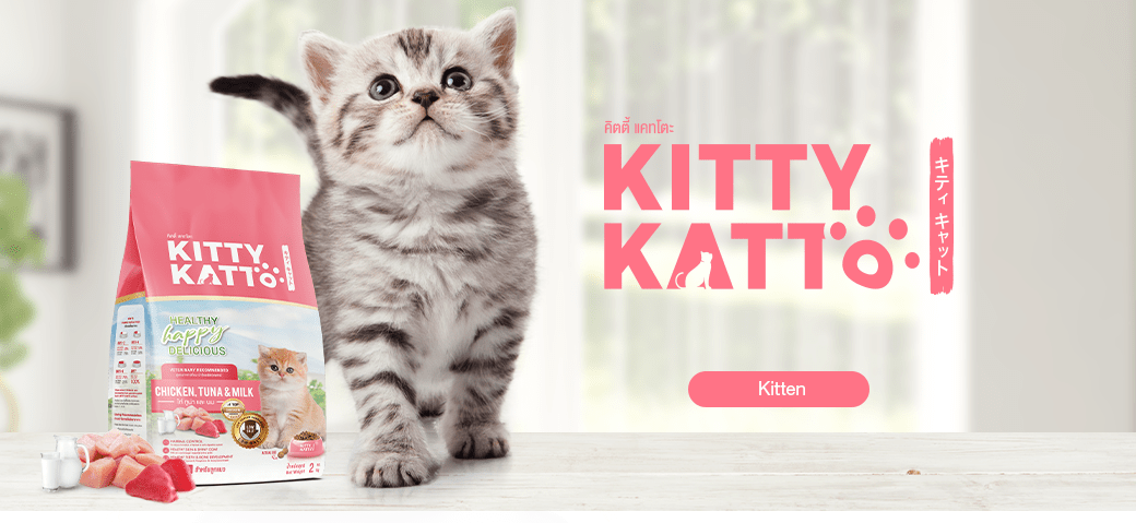 KittyKatto_Banner_1