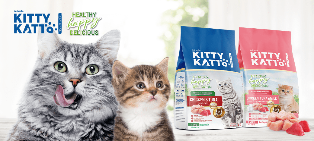 KittyKatto_Banner_2