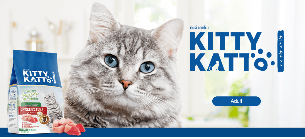 KittyKatto_Banner_3